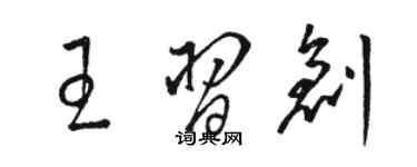 駱恆光王習創草書個性簽名怎么寫