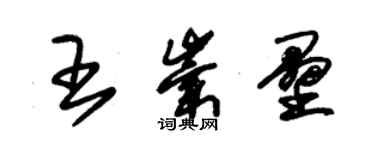 朱錫榮王崇壘草書個性簽名怎么寫