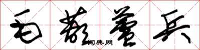 朱錫榮毛葫蘆兵草書怎么寫