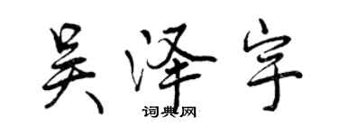 曾慶福吳澤宇行書個性簽名怎么寫