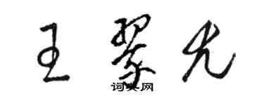 駱恆光王翠尤草書個性簽名怎么寫