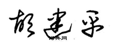朱錫榮胡建平草書個性簽名怎么寫