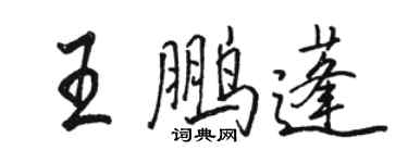 駱恆光王鵬蓬行書個性簽名怎么寫