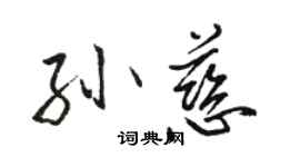 駱恆光孫慈行書個性簽名怎么寫