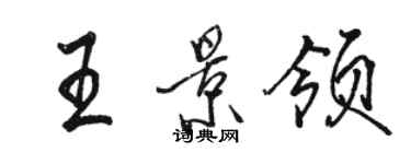 駱恆光王景領行書個性簽名怎么寫