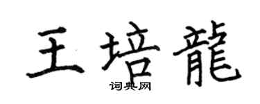 何伯昌王培龍楷書個性簽名怎么寫