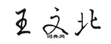 駱恆光王文北行書個性簽名怎么寫