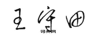 駱恆光王守田草書個性簽名怎么寫