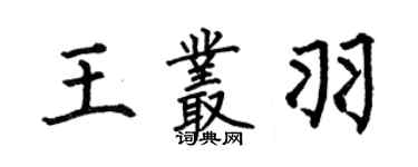 何伯昌王叢羽楷書個性簽名怎么寫
