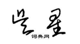 朱錫榮吳星草書個性簽名怎么寫