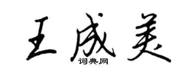 王正良王成美行書個性簽名怎么寫