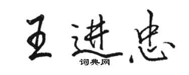 駱恆光王進忠行書個性簽名怎么寫