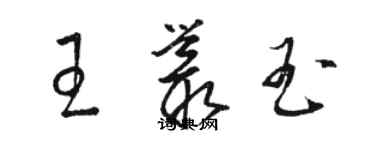 駱恆光王叢玉草書個性簽名怎么寫