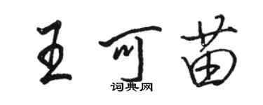 駱恆光王可苗行書個性簽名怎么寫