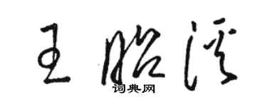 駱恆光王昭溪草書個性簽名怎么寫