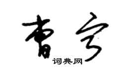 朱錫榮曹寧草書個性簽名怎么寫