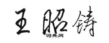 駱恆光王昭鑄行書個性簽名怎么寫