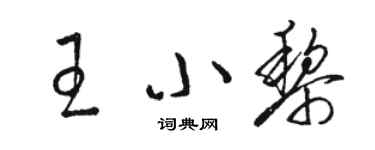 駱恆光王小黎草書個性簽名怎么寫