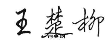 駱恆光王楚柳行書個性簽名怎么寫