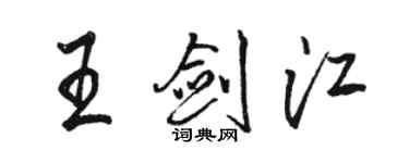 駱恆光王劍江行書個性簽名怎么寫