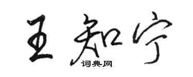 駱恆光王知寧行書個性簽名怎么寫