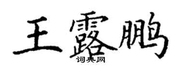 丁謙王露鵬楷書個性簽名怎么寫