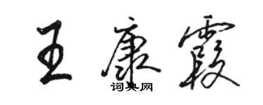 駱恆光王康霞行書個性簽名怎么寫