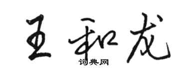 駱恆光王和龍行書個性簽名怎么寫