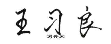 駱恆光王習良行書個性簽名怎么寫