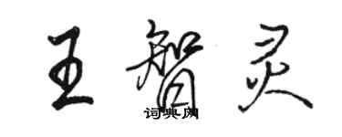 駱恆光王智靈行書個性簽名怎么寫