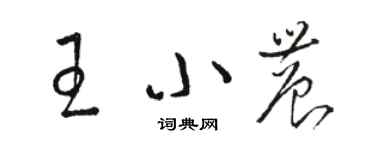 駱恆光王小農草書個性簽名怎么寫