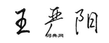 駱恆光王嚴陽行書個性簽名怎么寫