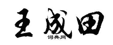 胡問遂王成田行書個性簽名怎么寫