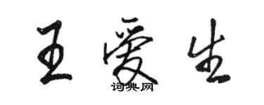 駱恆光王愛生行書個性簽名怎么寫