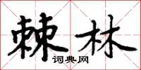 周炳元棘林楷書怎么寫