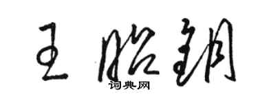 駱恆光王昭鑰草書個性簽名怎么寫