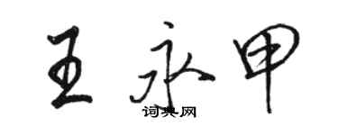 駱恆光王永甲行書個性簽名怎么寫