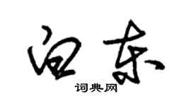 朱錫榮白東草書個性簽名怎么寫