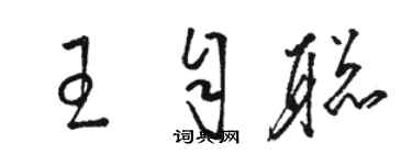 駱恆光王自聰草書個性簽名怎么寫