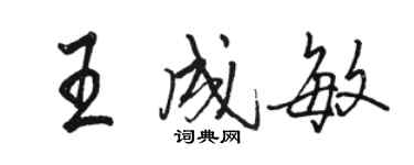 駱恆光王成敏行書個性簽名怎么寫