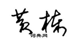 朱錫榮黃棟草書個性簽名怎么寫