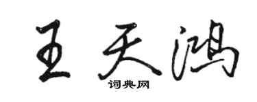 駱恆光王天鴻行書個性簽名怎么寫