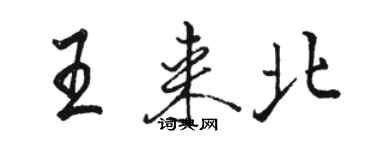 駱恆光王來北行書個性簽名怎么寫