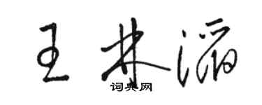 駱恆光王林滔草書個性簽名怎么寫