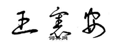 曾慶福王憲安草書個性簽名怎么寫