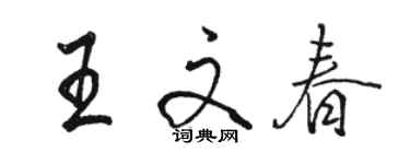 駱恆光王文春行書個性簽名怎么寫