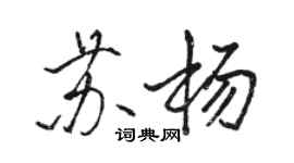 駱恆光蘇楊行書個性簽名怎么寫