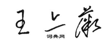 駱恆光王亦薇草書個性簽名怎么寫