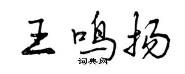 曾慶福王鳴揚行書個性簽名怎么寫