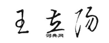 駱恆光王立陽草書個性簽名怎么寫